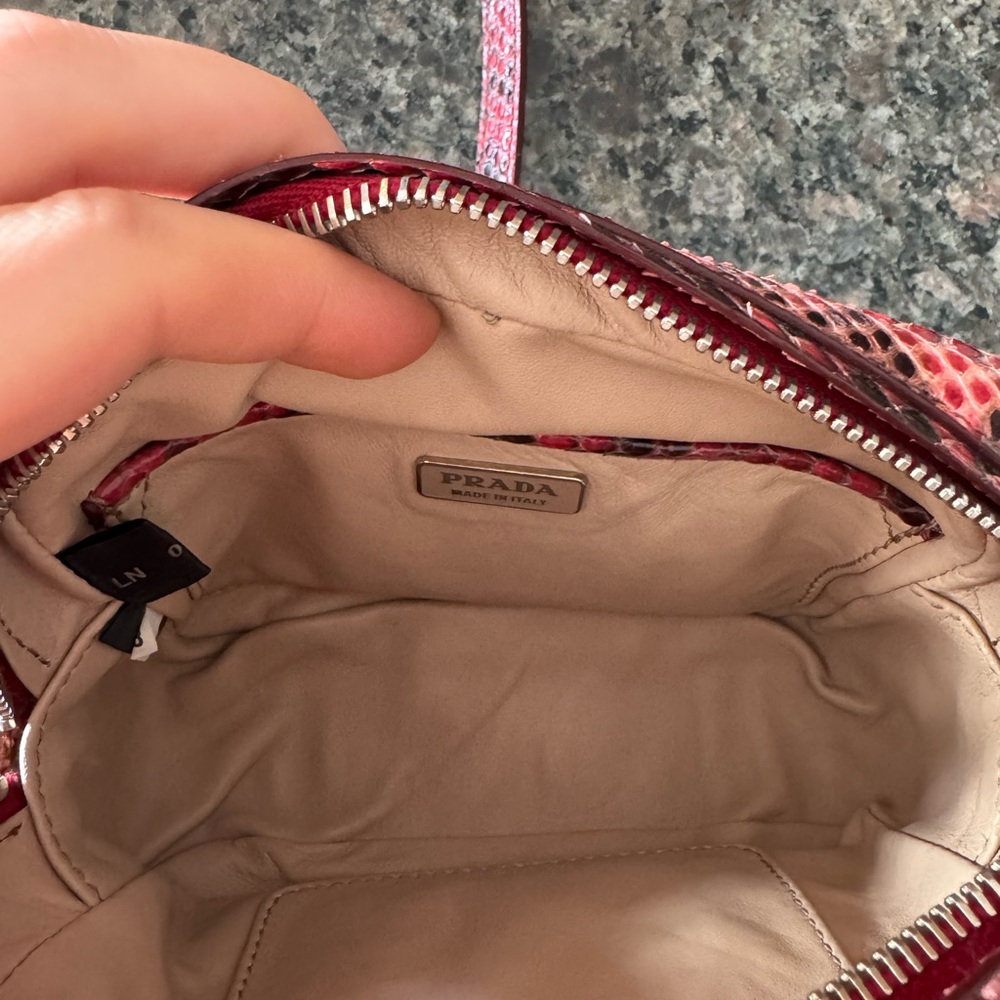 Prada Python Crossbody Bag - Picture 8 of 13